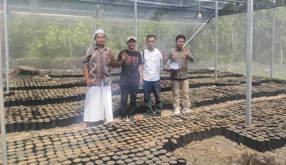 Kebutuhan 2 Juta Bibit, Disbun Sulbar Dorong Penangkar Lokal Produksi Benih Kakao Sendiri